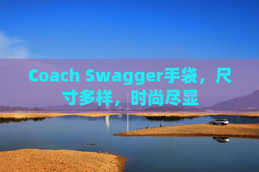 Coach Swagger手袋，尺寸多样，时尚尽显